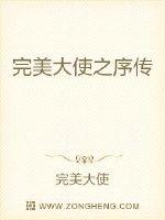 完美大使之序传